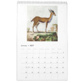 dierenillustraties 2026 kalender (Jan 2027)