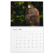 Dierenkalender 2017 van Orchidelique Kalender (Jan 2026)