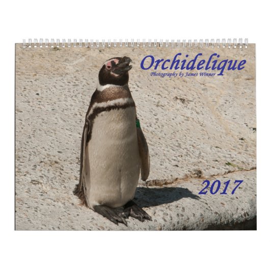 Dierenkalender 2017 van Orchidelique Kalender (Hoes)
