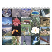 Dierenkalender 5 kalender (Hoes)