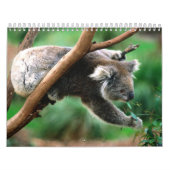 Dierenkalender 6 kalender (Hoes)