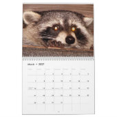 Dierenkalender Kalender (Mar 2027)