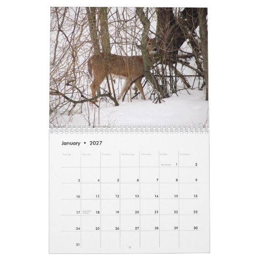 Dierenkalender Kalender (Jan 2027)