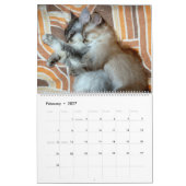 dierenknuffel kalender (Feb 2027)