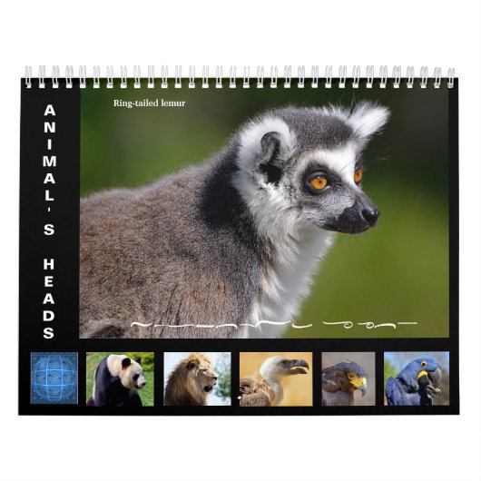 Dierenkoppen kalender 2025 (Hoes)
