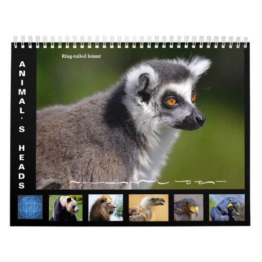 Dierenkoppen kalender 2025 (Hoes)