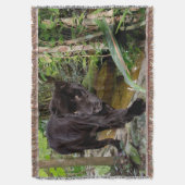 Dierenpark Belize City. Zwarte panter Deken (Voorkant Verticaal)