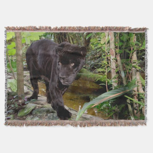 Dierenpark Belize City. Zwarte panter Deken (Voorkant)