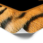 Dierenprint Tijger Verjaardagsplein Poster Perfect Poster (Hoek)