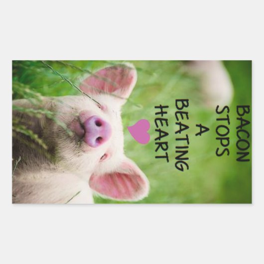 Dierenrechten sticker. rechthoekige sticker (Voorkant)