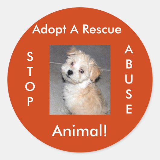 Dierenredding - Adopteer Ronde Sticker (Voorkant)