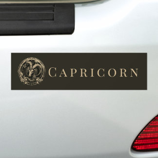 Dierenriem Zee Geit Celestial Fantasy Steenbok Bumpersticker