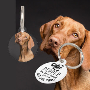 Dierenriemteken met aangepaste foto modern huisdierpenning