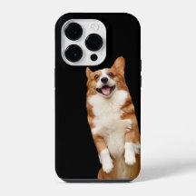 Dierenrijk - Geweldige Schattige Corgi