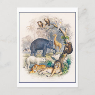 Dierenrijk Illustratie Briefkaart