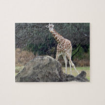 Dierenrijk Verboden Giraffe