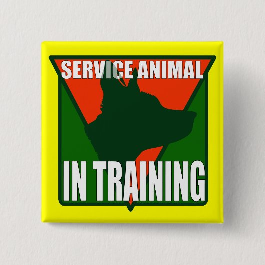 DIERENTRAINING VIERKANTE BUTTON 5,1 CM (Voorkant)