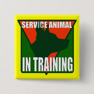 DIERENTRAINING VIERKANTE BUTTON 5,1 CM