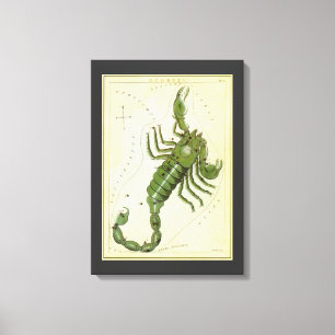 dierentuin, astrologie Scorpio constellatie Canvas Afdruk