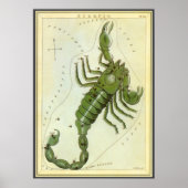 dierentuin, astrologie Scorpio constellatie Poster (Voorkant)