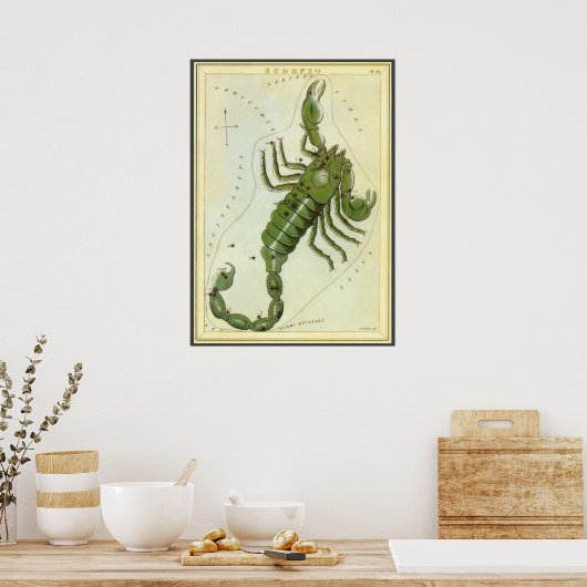 dierentuin, astrologie Scorpio constellatie Poster (Keuken)