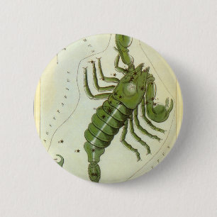  dierentuin, astrologie Scorpio constellatie Ronde Button 5,7 Cm