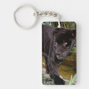 Dierentuin Belize City. Zwarte panter Sleutelhanger