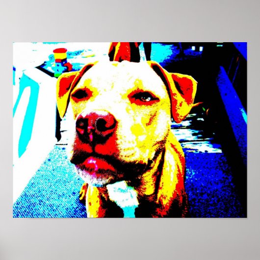 dierentuin na erized poster (Voorkant)