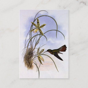 Dierentuin uit het verleden, Kolibrie Vogel Orchid Visitekaartje