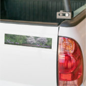 Dierentuin van St. Louis Bumpersticker (Op Truck)