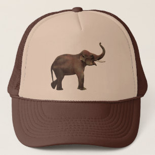 Dierentuin Wilde Dieren, Geluk Aziatische Olifante Trucker Pet