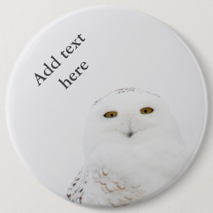 Dierenvogel Snowy Owl die naar me kijkt Ronde Button 6,0 Cm