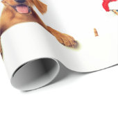 Dierenvrienden kerstpapier cadeaupapier (Rol Hoek)