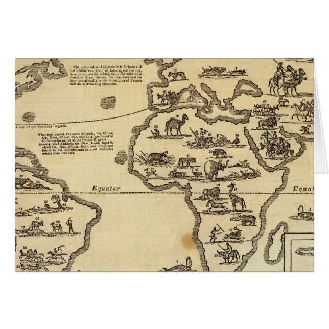 Dierenwereld (Voorkant Horizontaal)