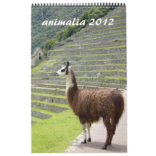 dierkalender 2012 kalender (Hoes)