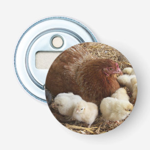 dierlijk, chick, kip, boerderij, schattig, vogel,  button flesopener