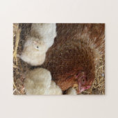 dierlijk, chick, kip, boerderij, schattig, vogel, legpuzzel (Horizontaal)