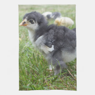 dierlijk, chick, kip, boerderij, schattig, vogel, theedoek