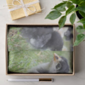 dierlijk, chick, kip, boerderij, schattig, vogel,  tissuepapier (Geschenk)