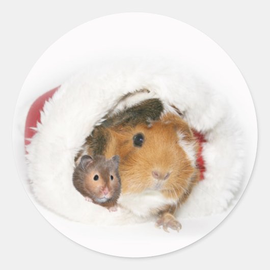 Dierlijk Kerst sticker (Voorkant)