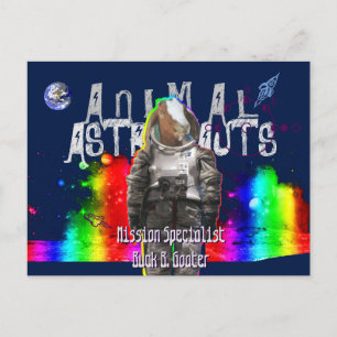 Dierlijke astronauten briefkaart