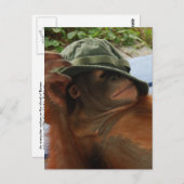 Dierlijke Baby-nap-tijd Briefkaart (Voorkant / Achterkant)