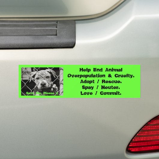 Dierlijke Bumperstickers (Op auto)