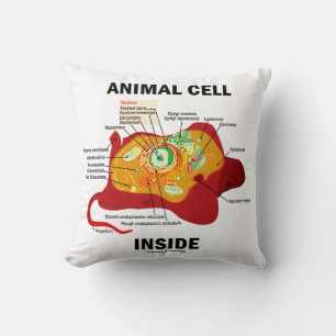 Dierlijke cel in het Eukaryote-diagram Kussen