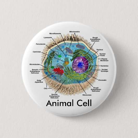 Dierlijke cel ronde button 5,7 cm (Voorkant)