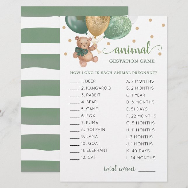 Dierlijke gomsage Groene Teddy Bear (Voorkant / Achterkant)