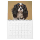 DIERLIJKE KALENDERS KALENDER (Mar 2027)