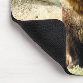 Dierlijke mousepad-reeks - Grizzly-Beer Muismat (Hoek)