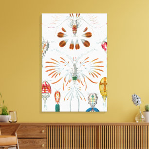 Dierlijke Oceaan Dieren, Copepoda door Ernst Haeck Canvas Afdruk