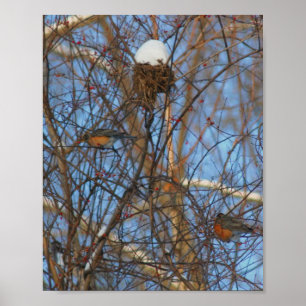 Dierlijke Poster van het Nest van Robins van de